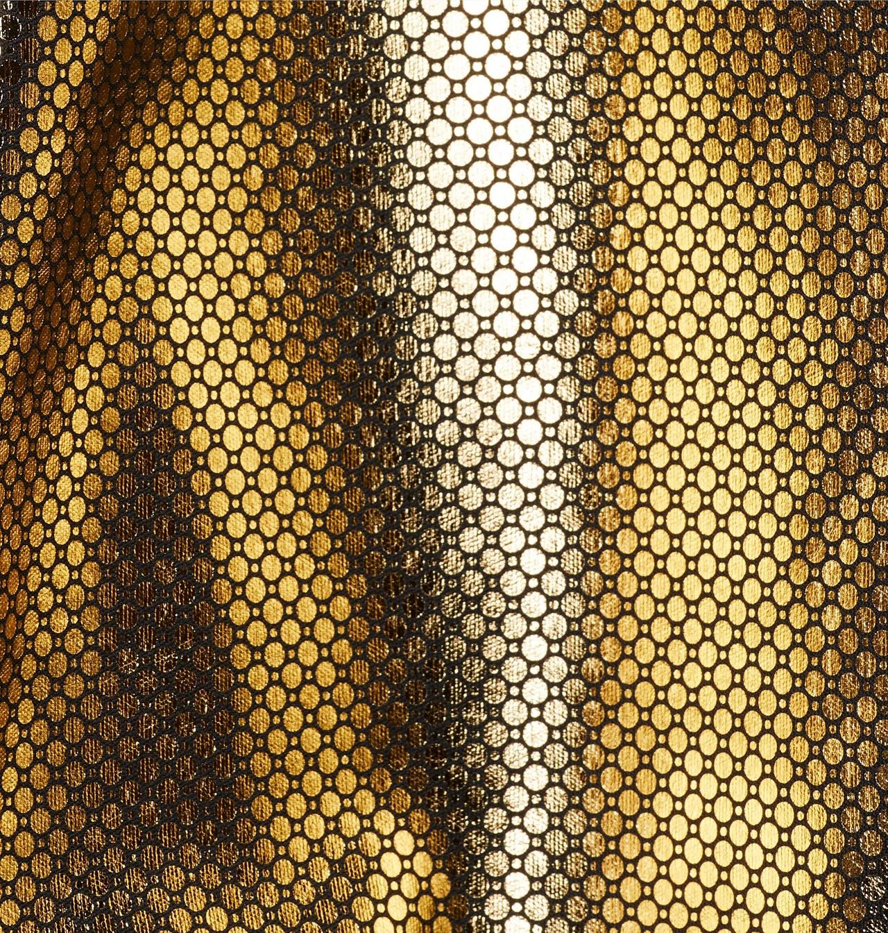 Men's Canyon Meadows™ Softshell Jacket 6