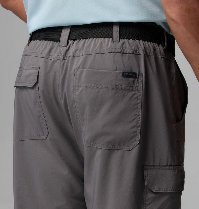 Pantalon de Randonn&eacute;e Fonctionnel Silver Ridge Homme - Grande Taille, Color: City Grey, image 7