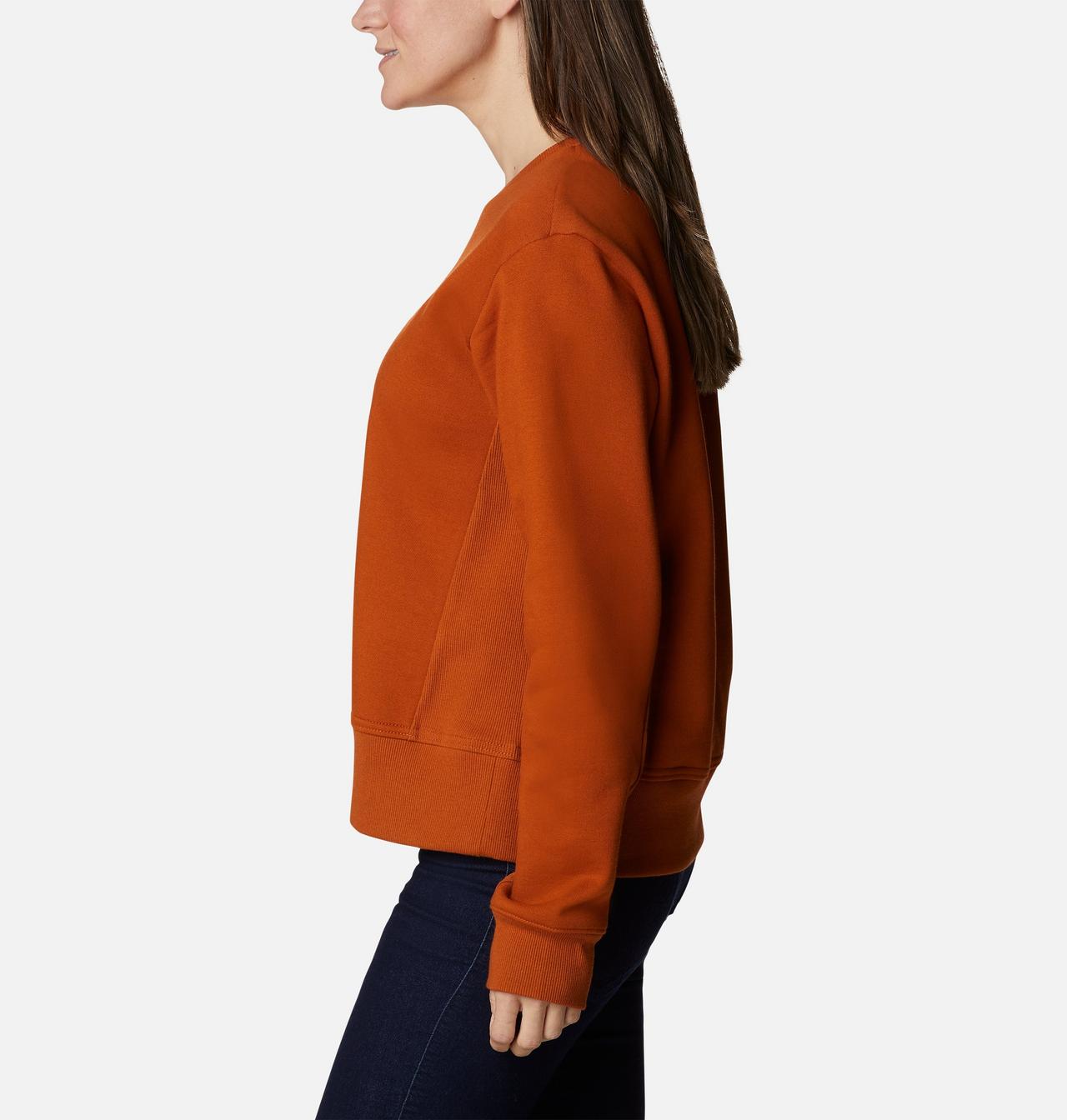 Women's Columbia Lodge™ Crew IV Sweatshirt 3