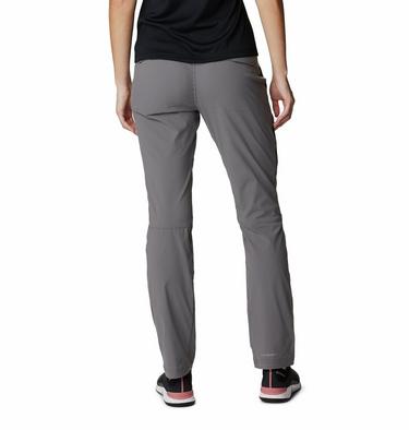 Saturday Trail EU Pant, Color: City Grey, image 2