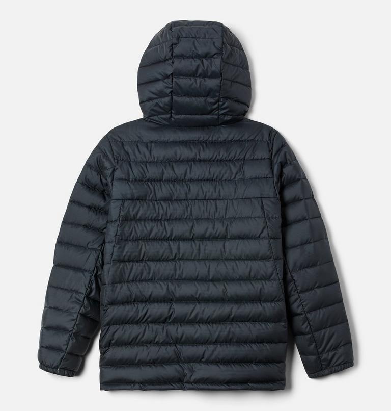 Boy's Silver Falls Insulated Hooded Jacket, Color: Black, image 2