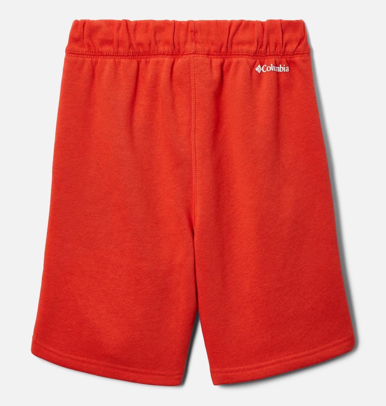 Boys' Columbia Trek™ Shorts 2