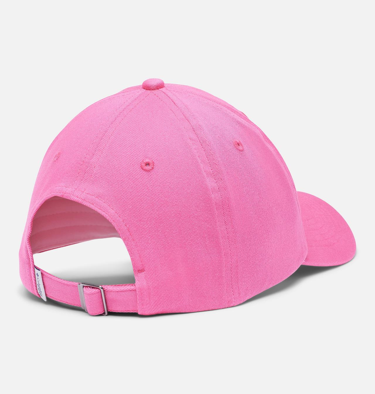 PFG Logo™ Dad Cap 2