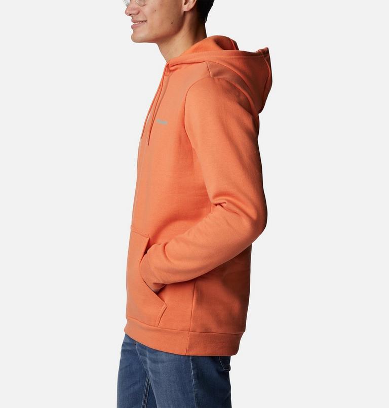 CSC Graphic Hoodie | 850 | S, Color: Desert Orange, Bordered Beauty, image 3