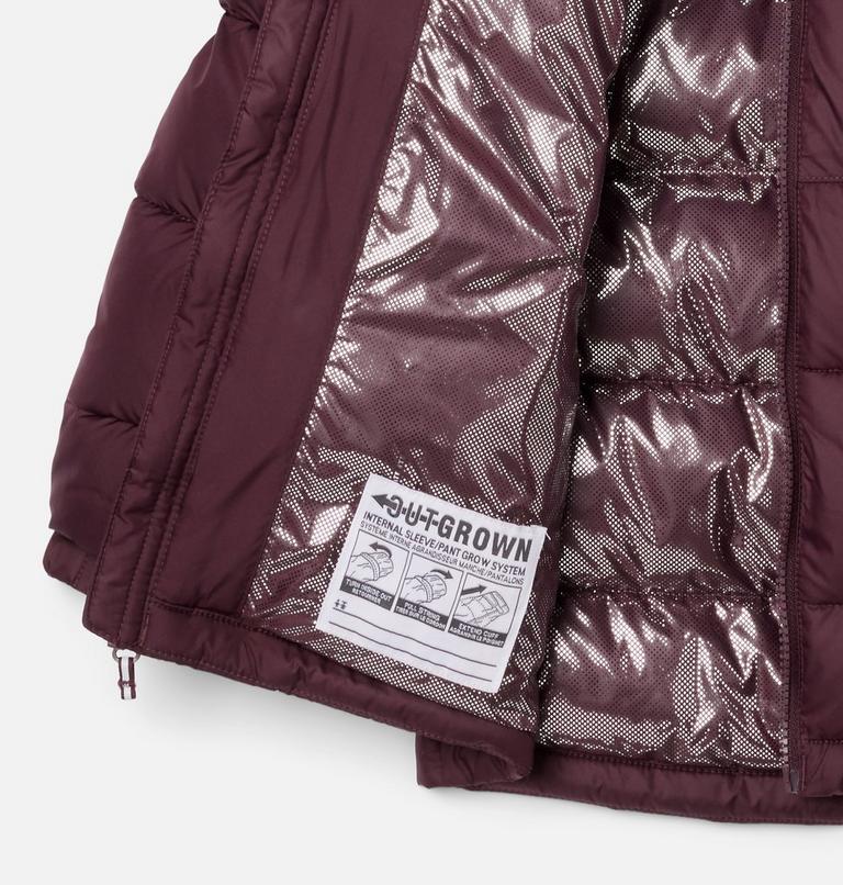 Kids' Pike Lake II Hooded Jacket, Color: Moonvista, image 3