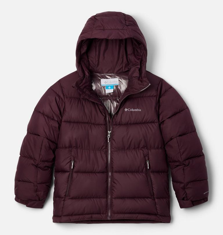 Kids' Pike Lake II Hooded Jacket, Color: Moonvista, image 1