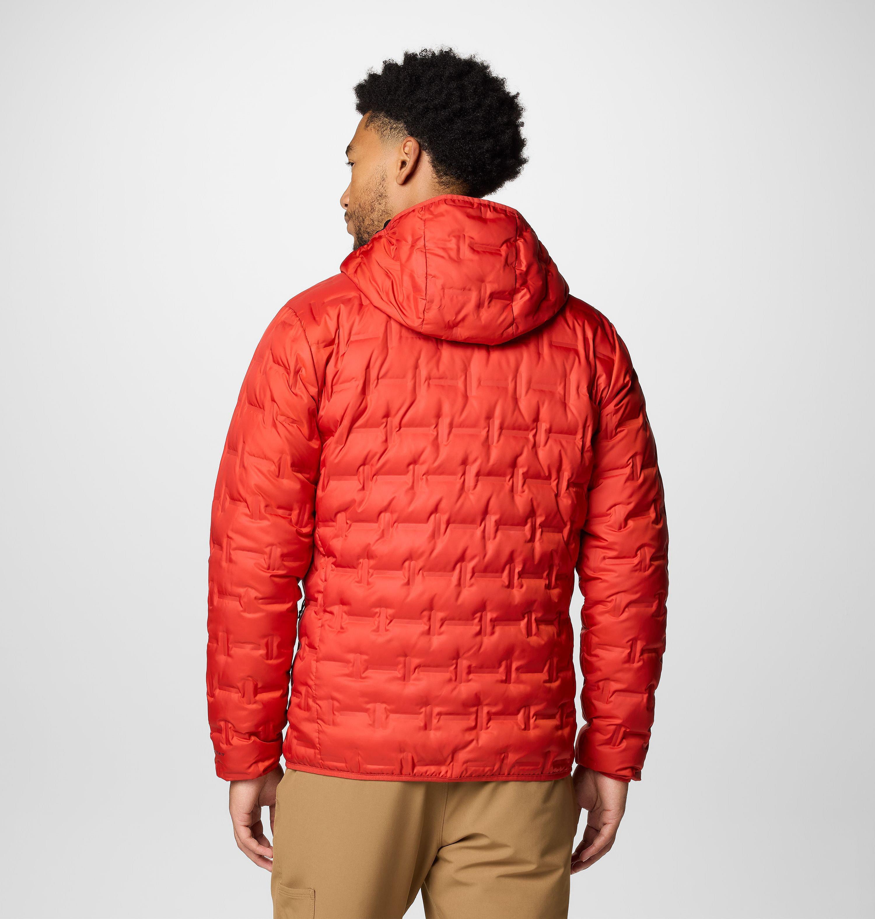 Men's Delta Ridge II Down Hooded Jacket 2