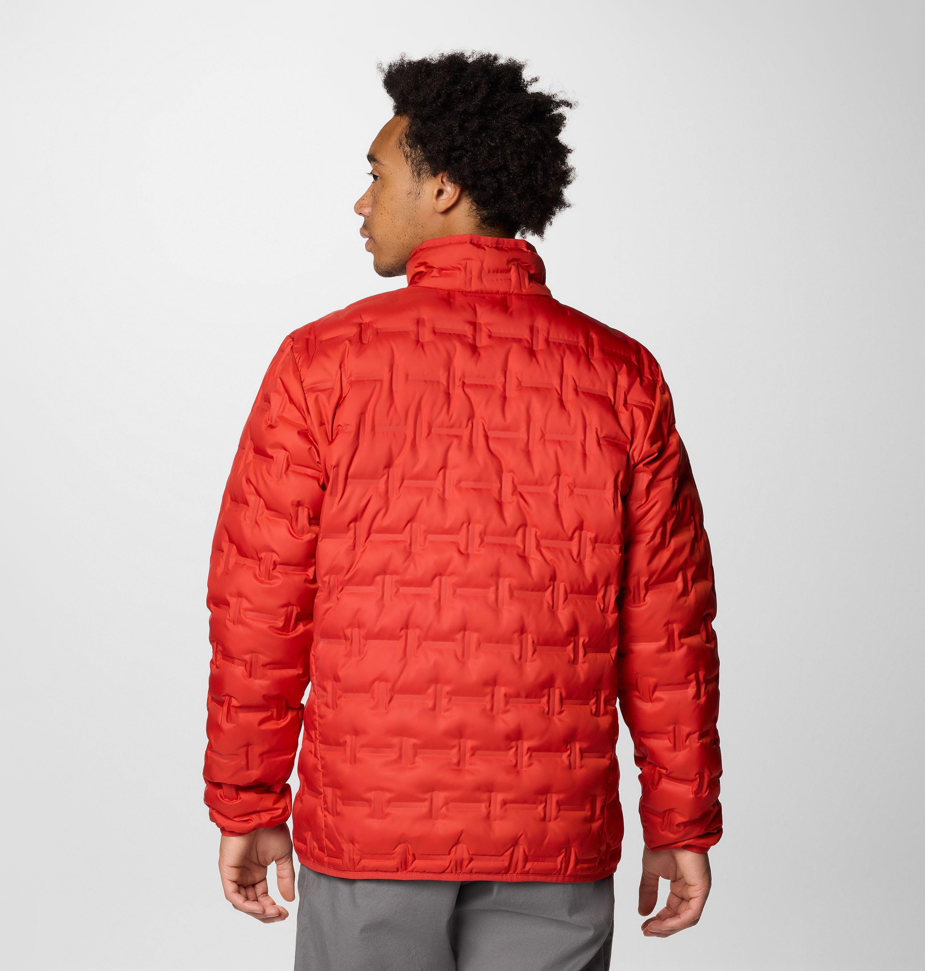 Men's Delta Ridge II Down Jacket 2
