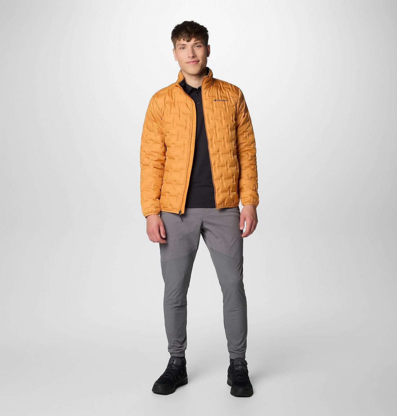 Men's Delta Ridge™ II Down Jacket 3