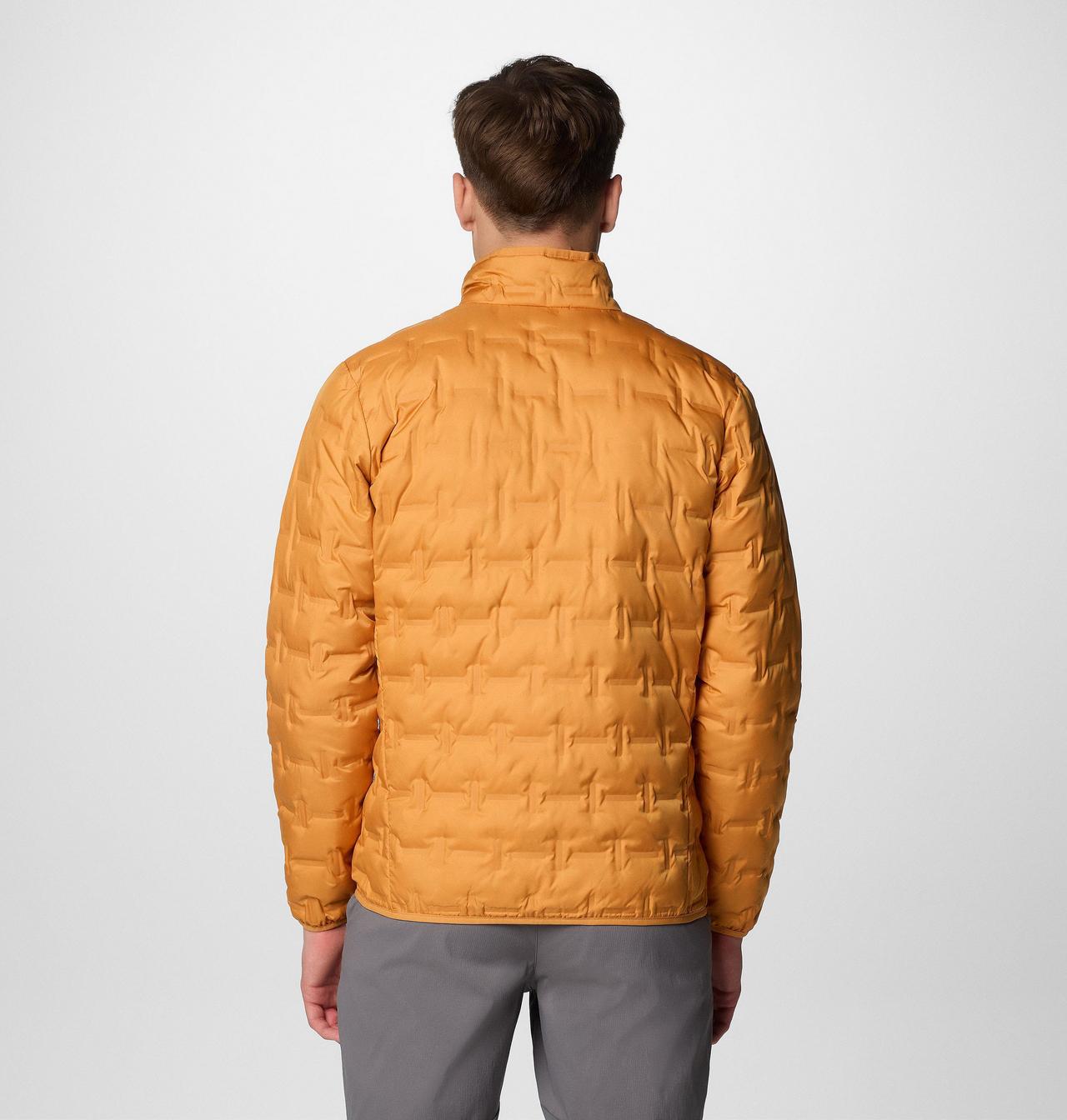 Men's Delta Ridge™ II Down Jacket 2
