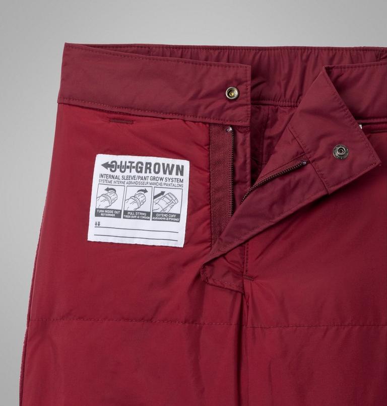 Boys' Ice Slope III Pants, Color: Rich Wine, image 3