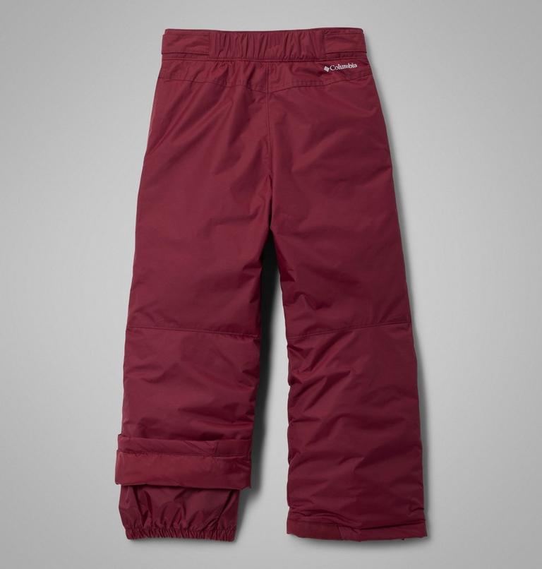 Boys' Ice Slope III Pants, Color: Rich Wine, image 2