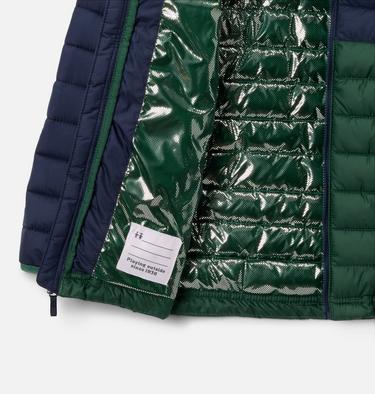 Boy's Powder Lite II Hooded Insulated Jacket, Color: Rain Forest, Collegiate Navy, image 3
