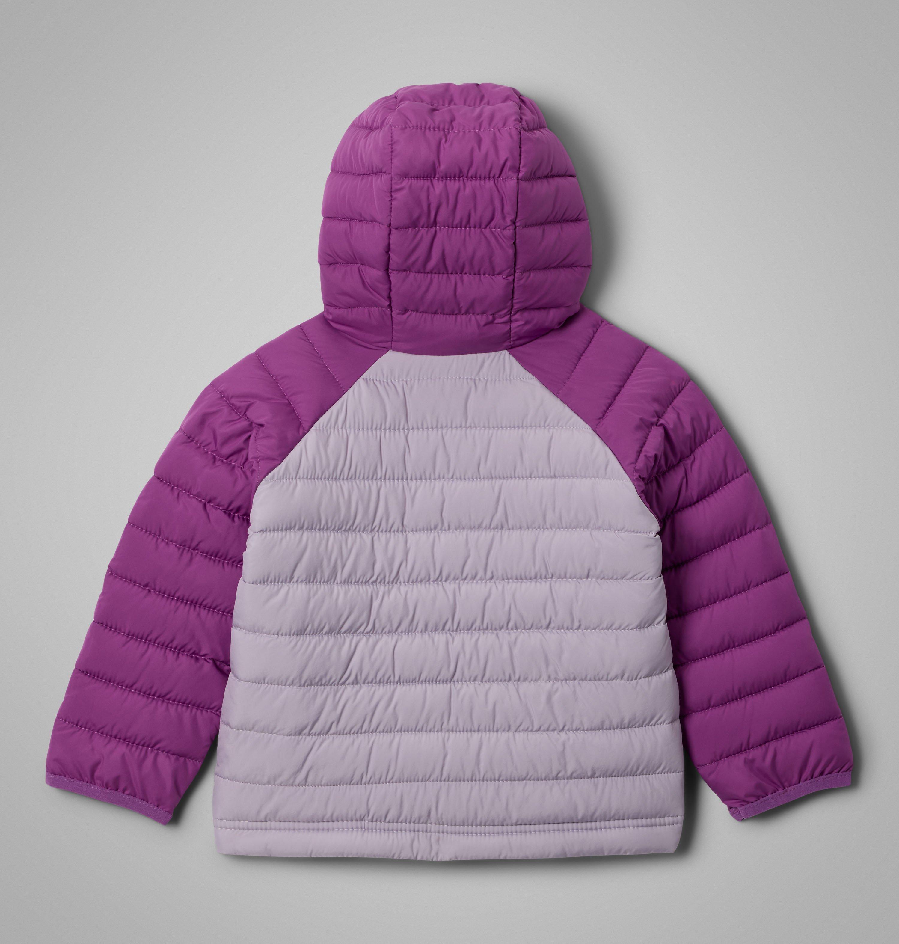 Girls' Toddler Powder Lite II Hooded Jacket 2