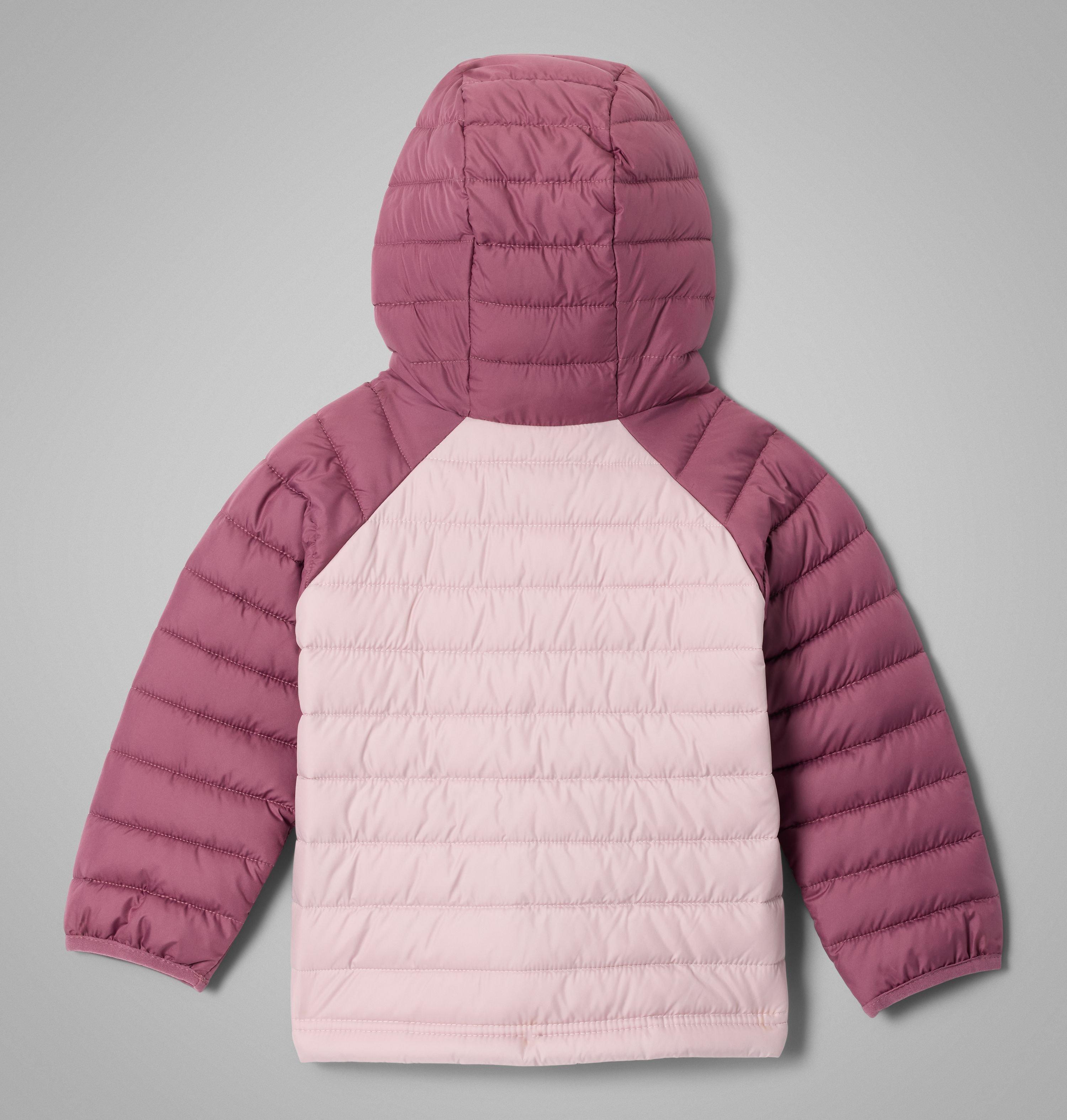 Girls' Toddler Powder Lite II Hooded Jacket 2