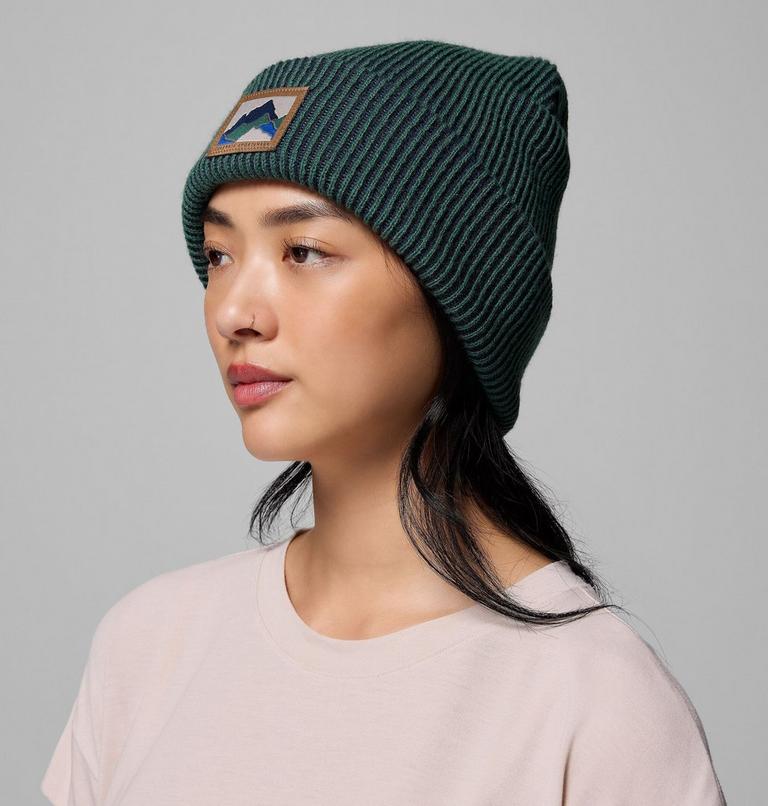 Provisions Cuffed Beanie, Color: Rain Forest, Windy Range, image 5