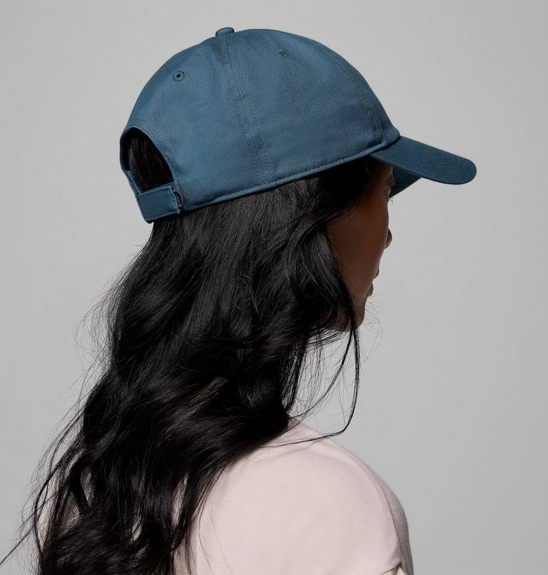 Provisions Ball Cap, Color: Everblue, Woven Bear, image 4