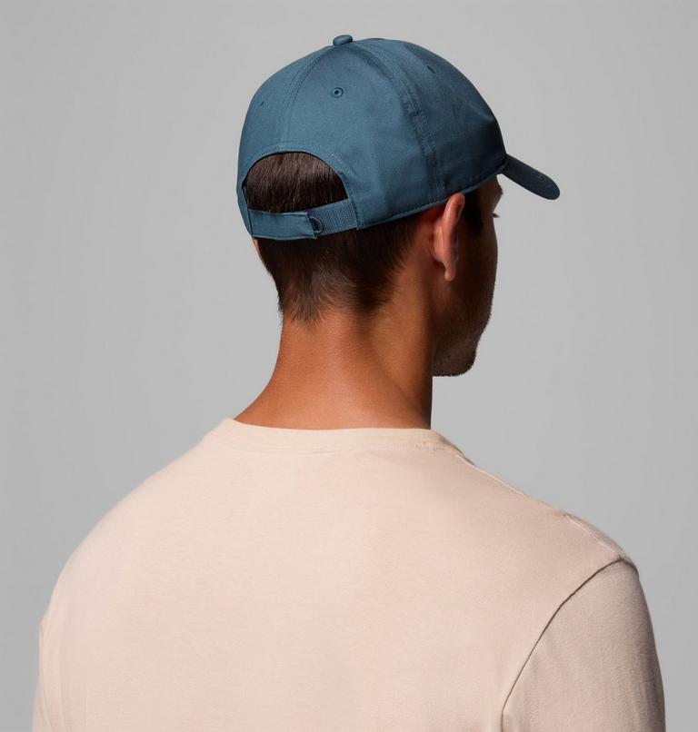 Provisions Ball Cap, Color: Everblue, Woven Bear, image 3