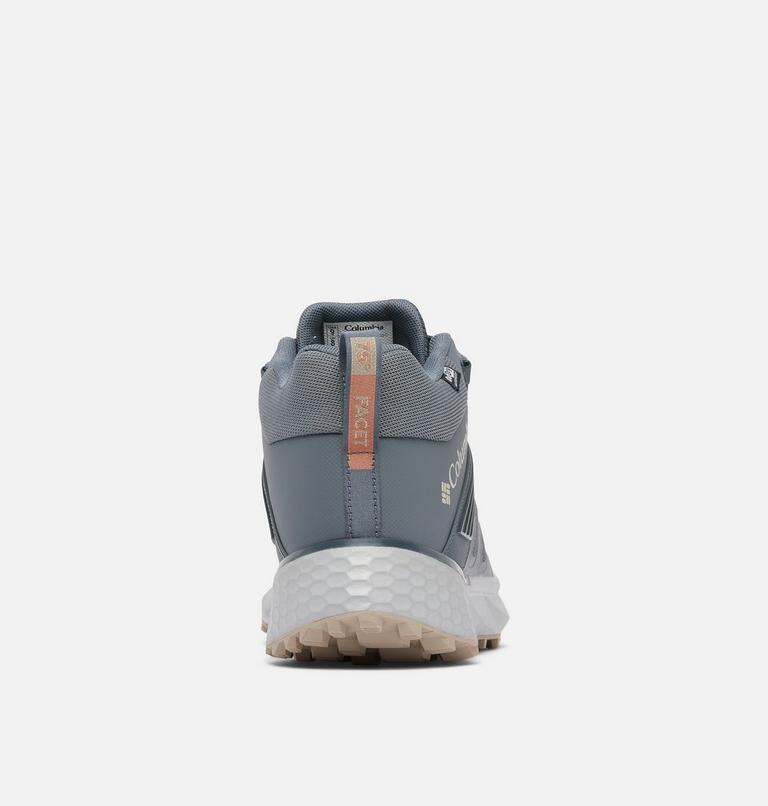 FACET 75 MID OUTDRY, image 2