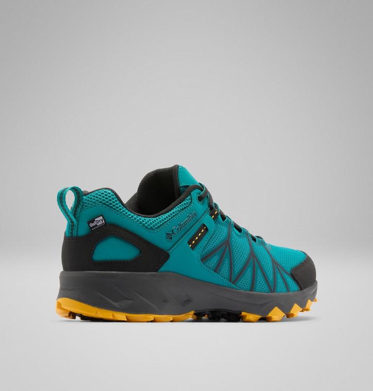 Scarpe da hiking Peakfreak II Outdry da uomo, Color: Teal Chloride, Stinger, image 9