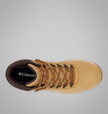 Botte de Marche Newton Wander Homme, Color: Curry, Cordovan, image 4