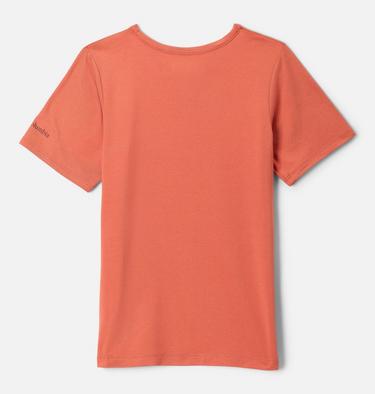 Boys' Tech Trail Graphic Technical T-Shirt, Color: Tuscan, Ridge Line Life, image 2