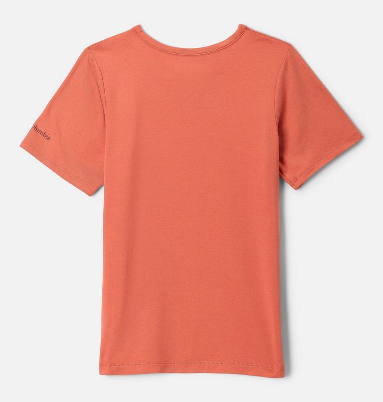 Boys' Tech Trail Short Sleeve Graphic Shirt, Color: Tuscan, Ridge Line Life, image 2