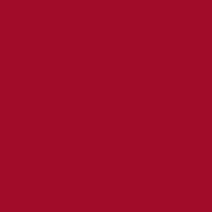 Collegiate Provisions Ball Cap - Alabama - thumbnail 7