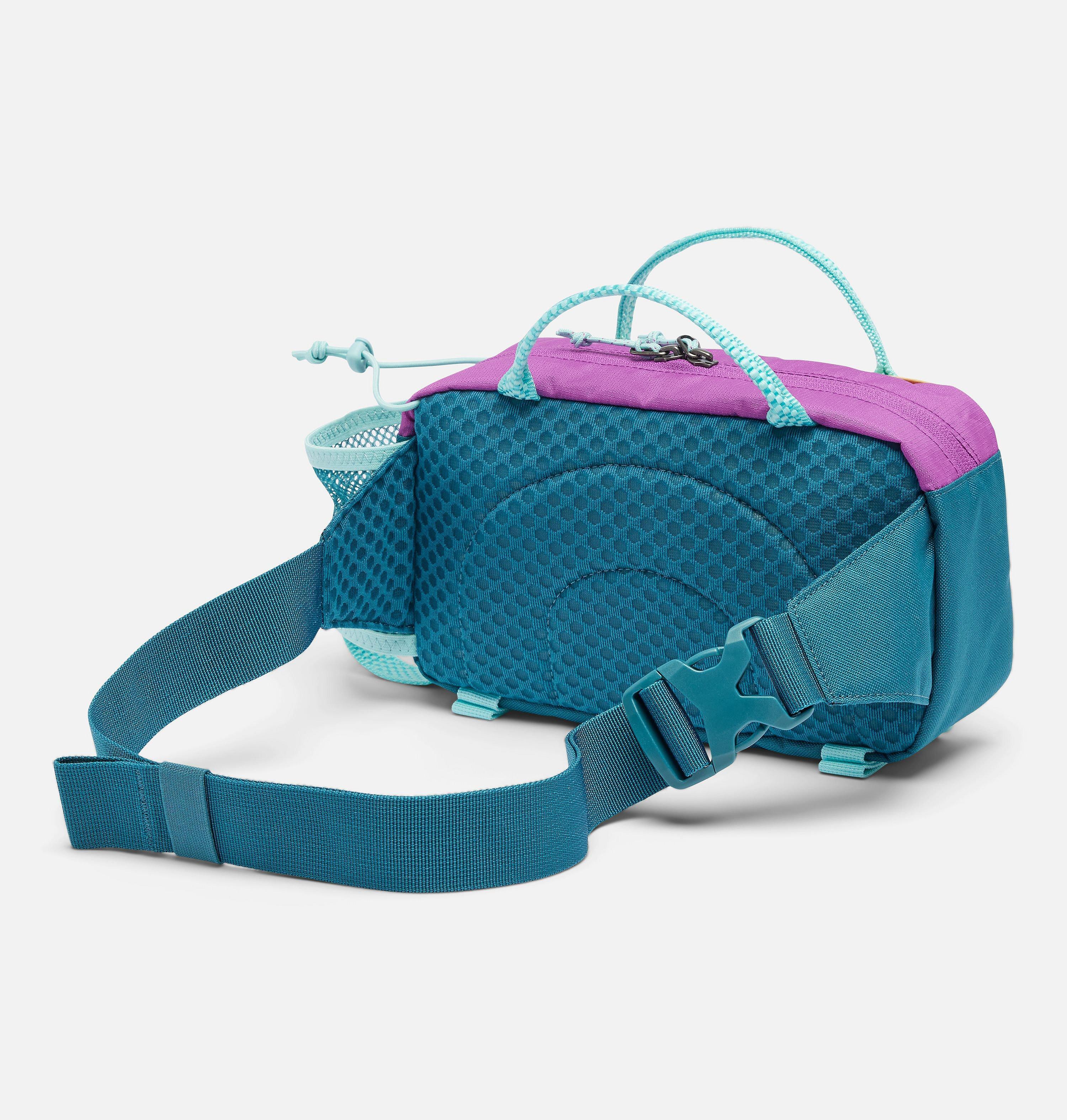 Echo Mountain Hip Pack 8