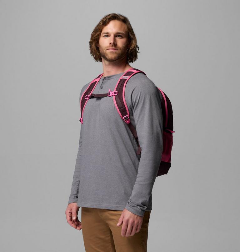 Unisex Echo Mountain 25L Backpack, Color: Moonvista, Nico, image 3
