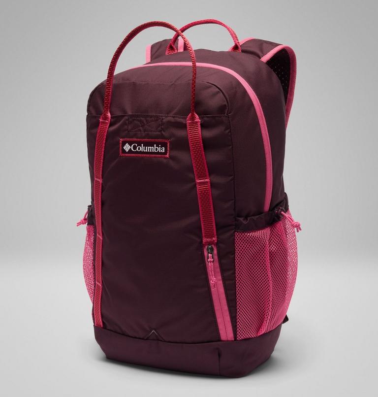 Unisex Echo Mountain 25L Backpack, Color: Moonvista, Nico, image 1