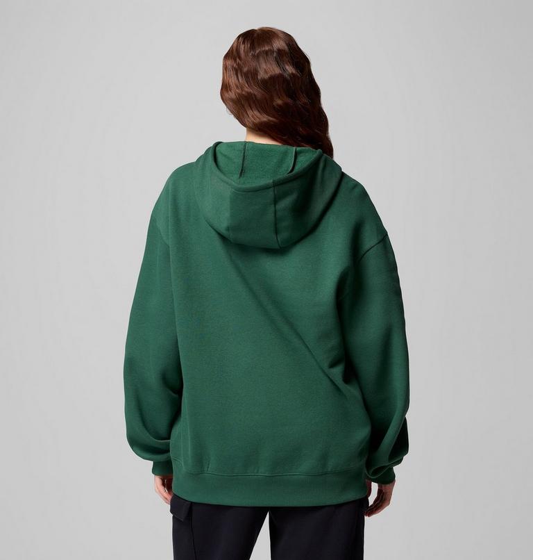Aldermore Hoodie, Color: Rain Forest, image 3