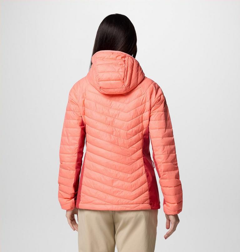 Powder Pass II Hybrid Hooded Jacket, Color: Alpenglow, Daredevil, image 2