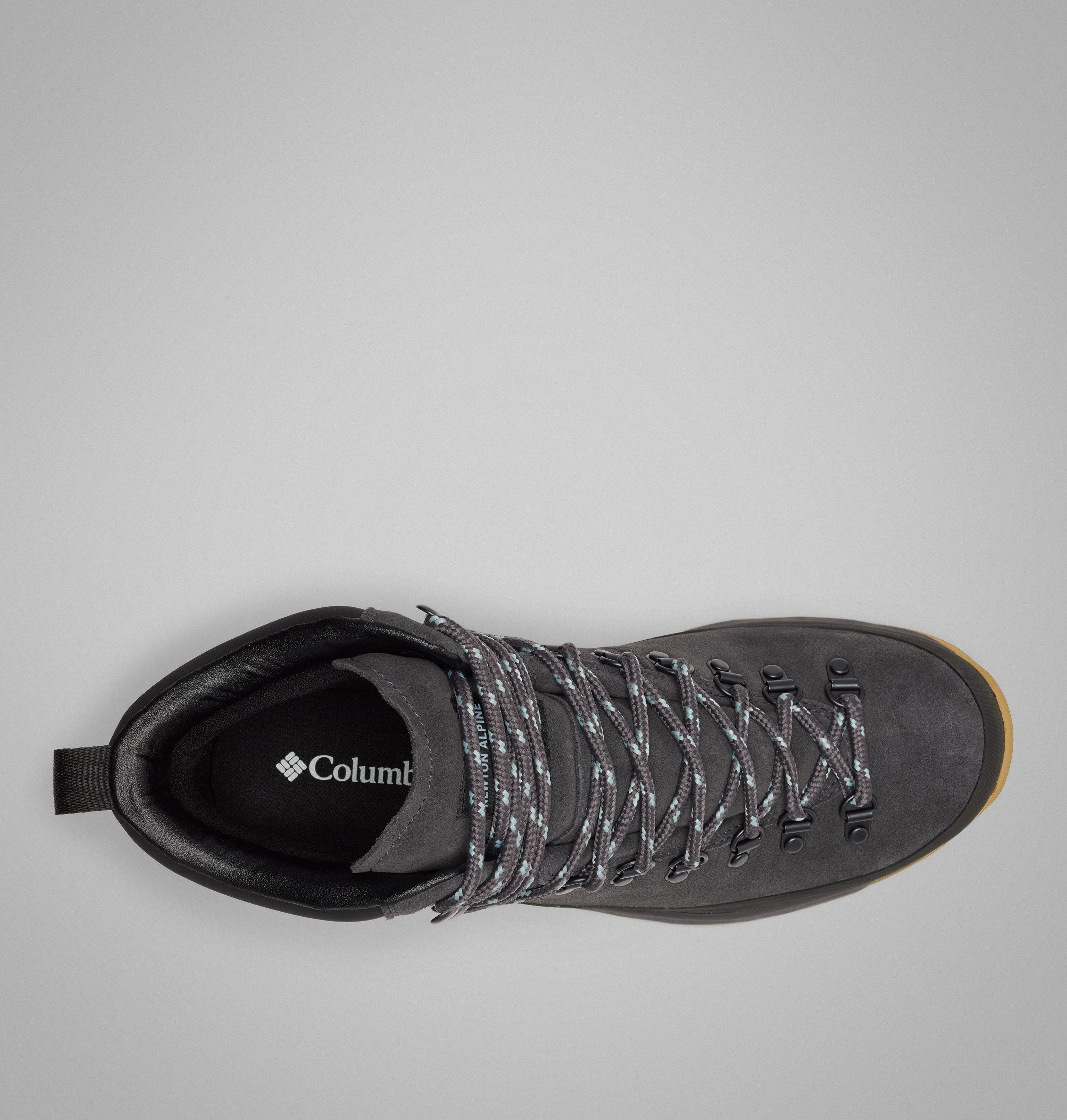 Men's Newton Alpine PT Boot | 011 | 12 4