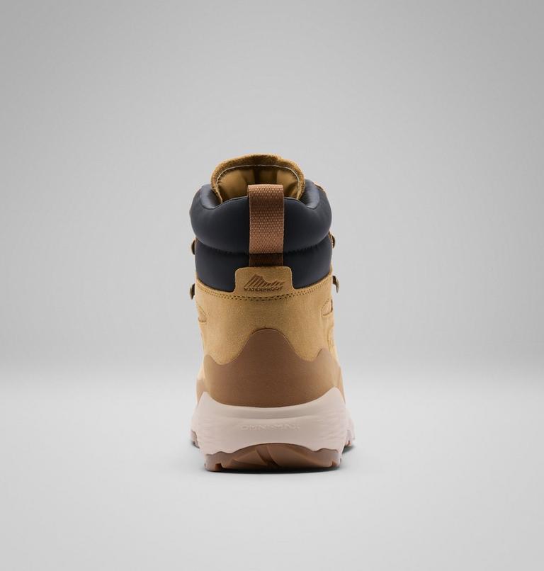 Men's Newton Alpine PT Boot, Color: Curry, Black, image 2