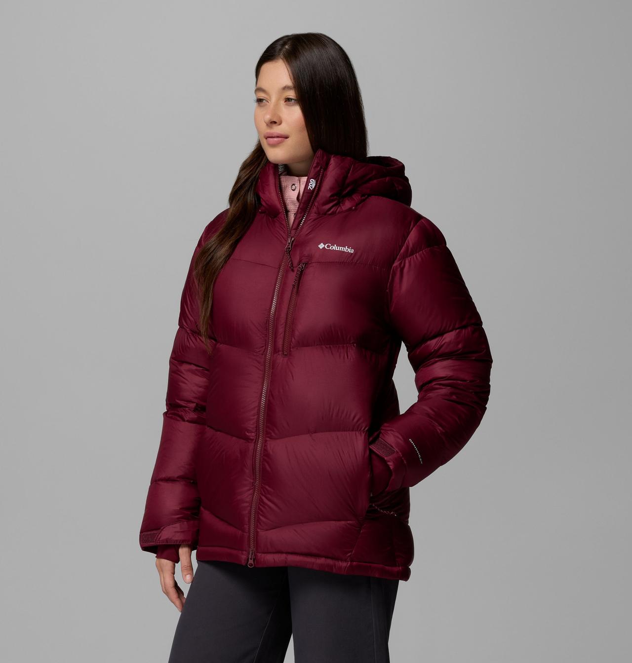 Women's Cloudview™ Down Hooded Jacket 4