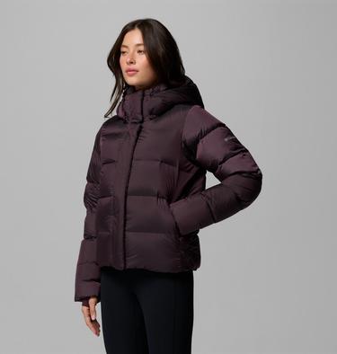 Women's Amaze Puff Hooded Down Puffer, Color: Moonvista High Shine, image 16