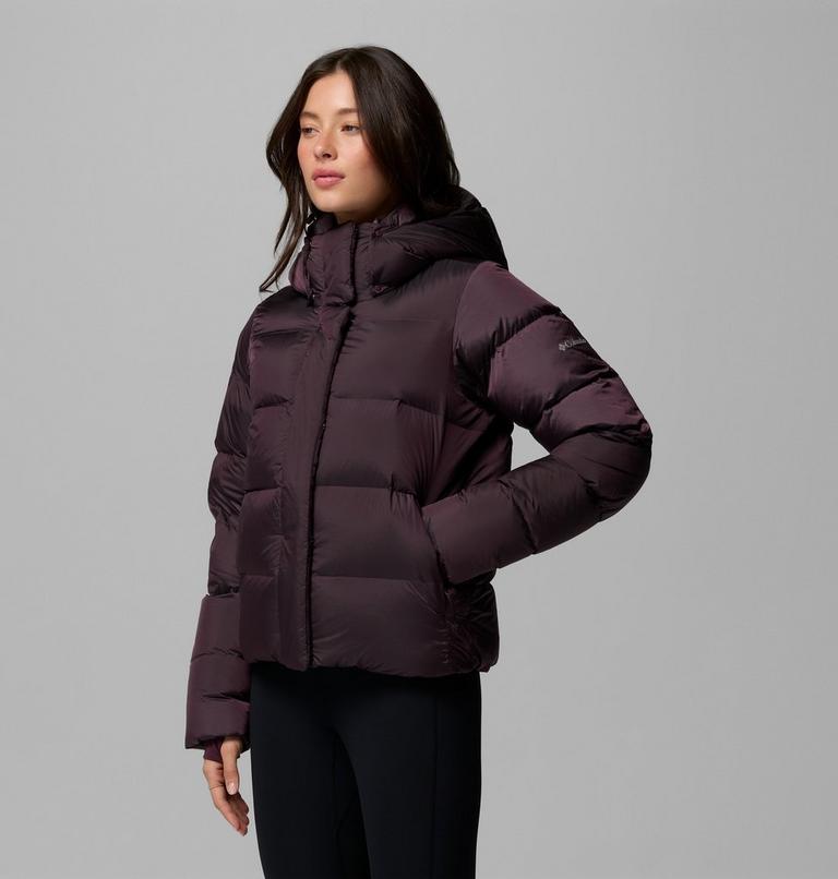 Women's Amaze Puff Hooded Down Puffer, Color: Moonvista High Shine, image 4