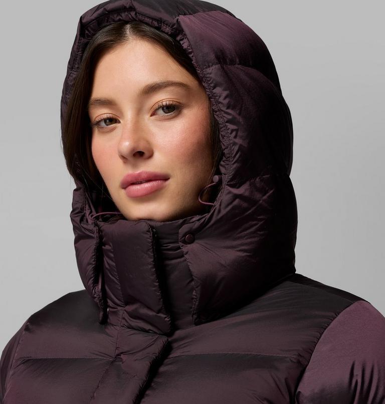 Women's Amaze Puff Hooded Down Puffer, Color: Moonvista High Shine, image 9