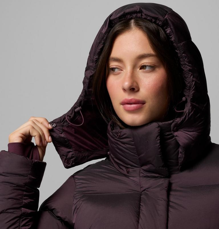 Women's Amaze Puff Hooded Down Puffer, Color: Moonvista High Shine, image 11