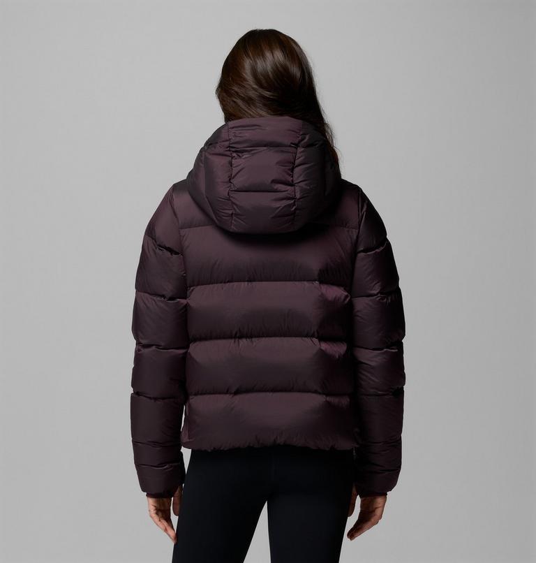 Women's Amaze Puff Hooded Down Puffer, Color: Moonvista High Shine, image 3