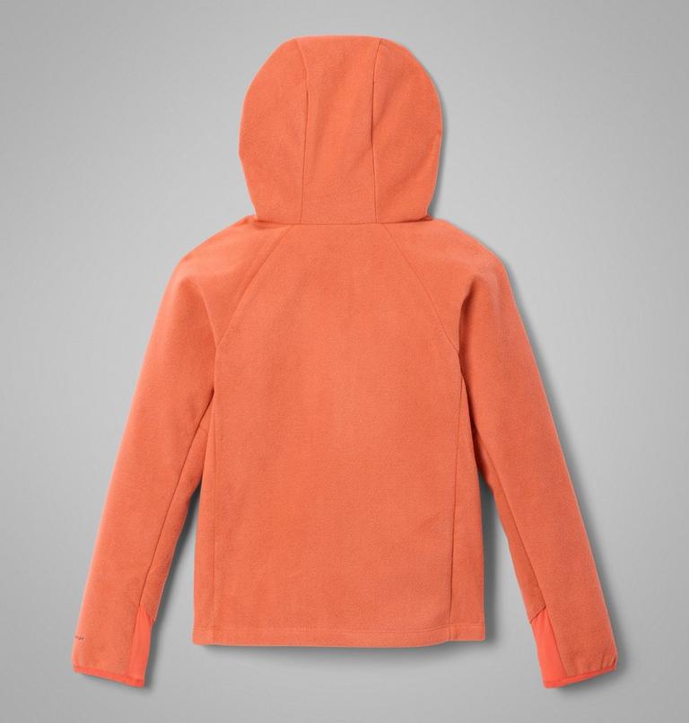 Youth Unisex Arctic Peak Hooded Technical Fleece Jacket, Color: Zing, image 2