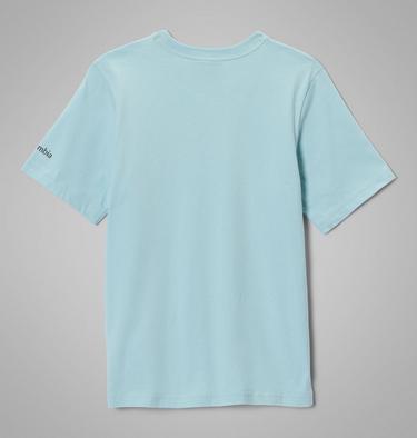 Boys' Valley Creek II Organic Cotton T-Shirt, Color: Marine Light, Cozy Coastline, image 6