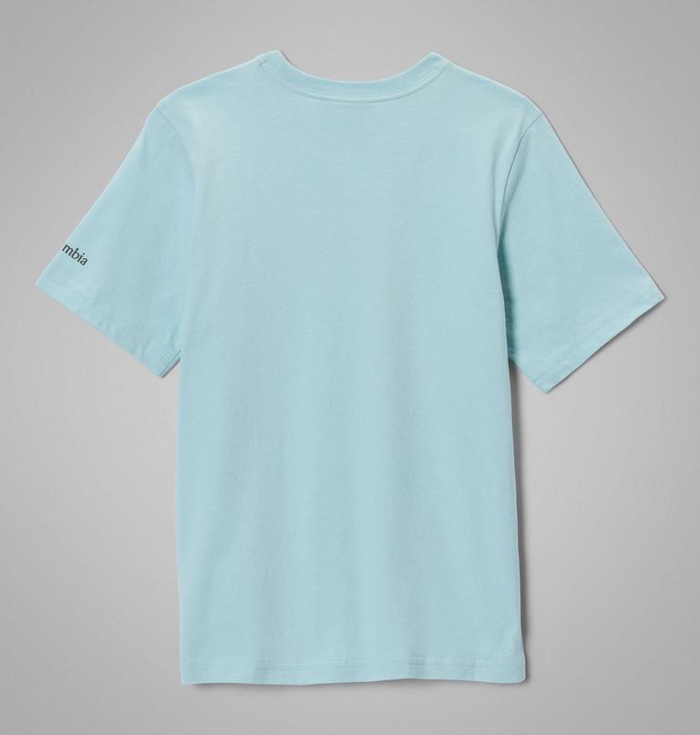 Boys' Valley Creek II Organic Cotton T-Shirt, Color: Marine Light, Cozy Coastline, image 2