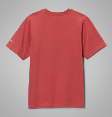 Boys' Valley Creek II Organic Cotton T-Shirt, Color: Washed Red, Cozy Coastline, image 2