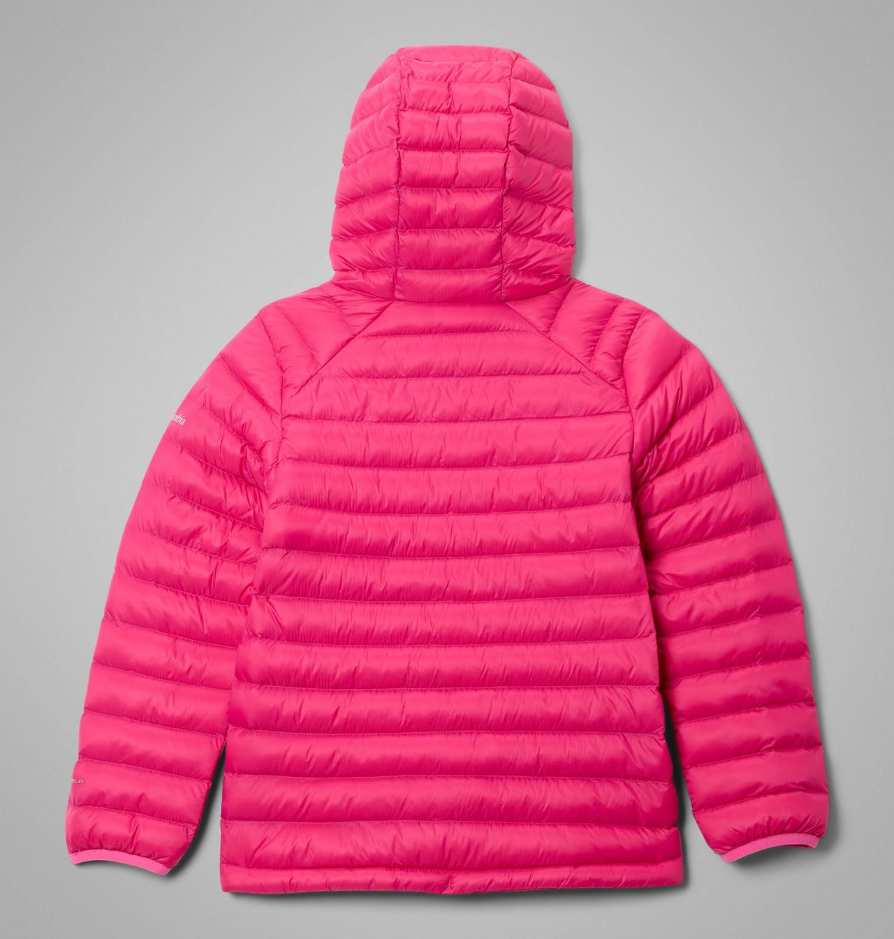 Kids' Powder Pass Hooded Jacket 2