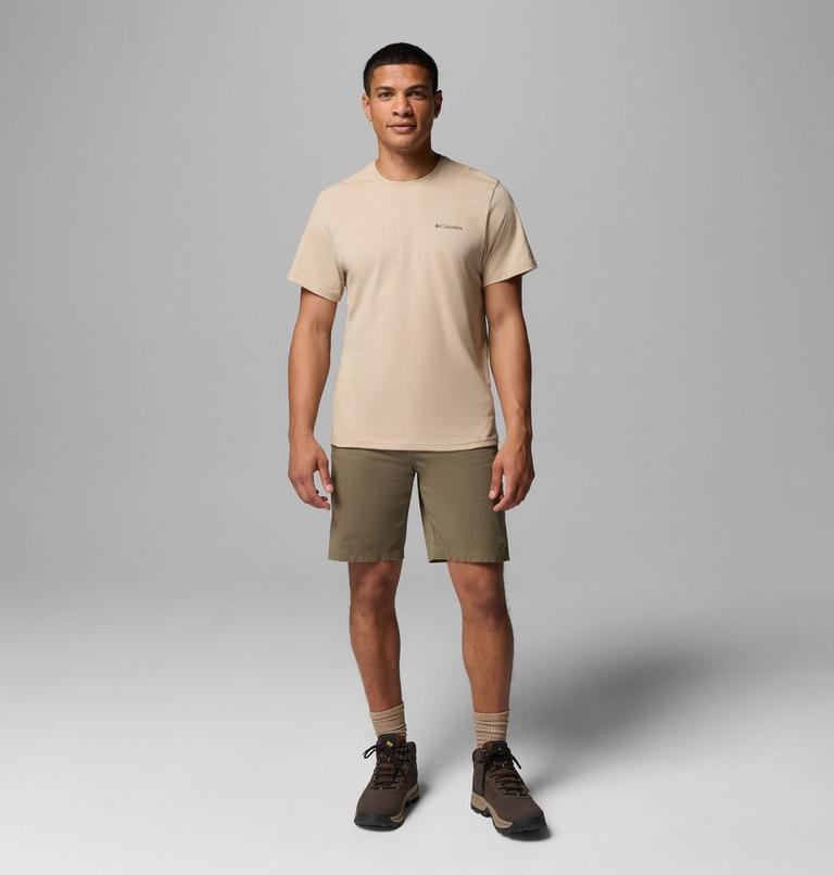 , Color: Ancient Fossil, image 2