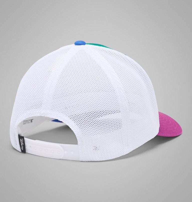 Unisex CSC x Disney Ball Cap, Color: Glacier Green, Raspberry, Blue Macaw, image 2