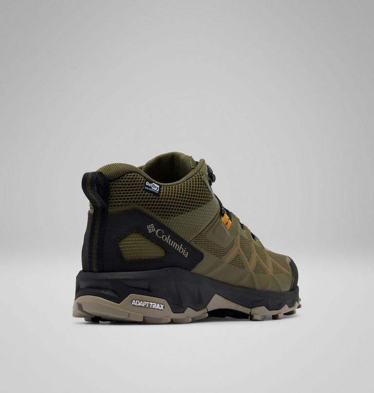 , Color: Nori, Desert Gold, image 9