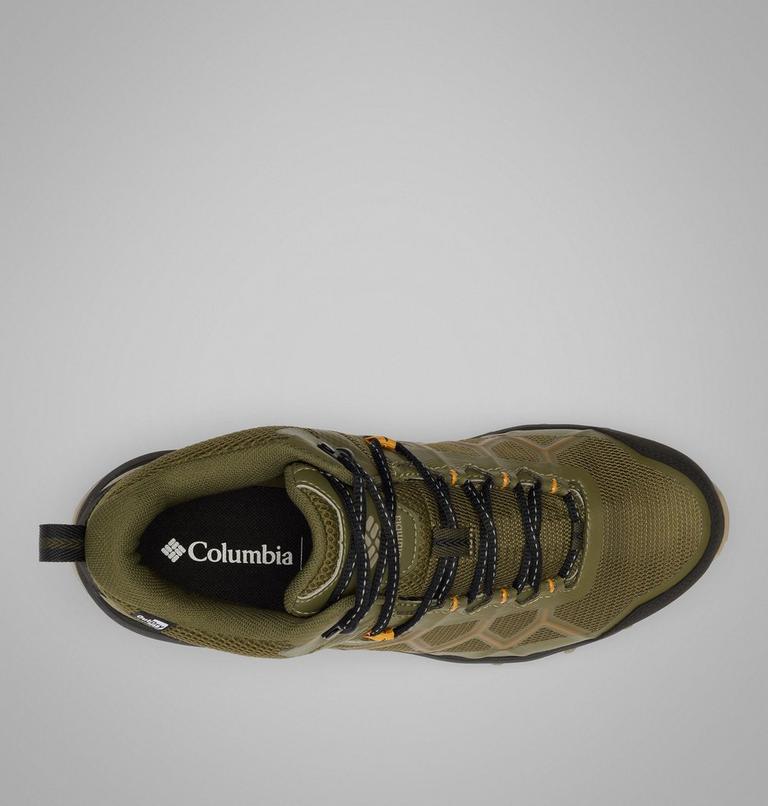 , Color: Nori, Desert Gold, image 4